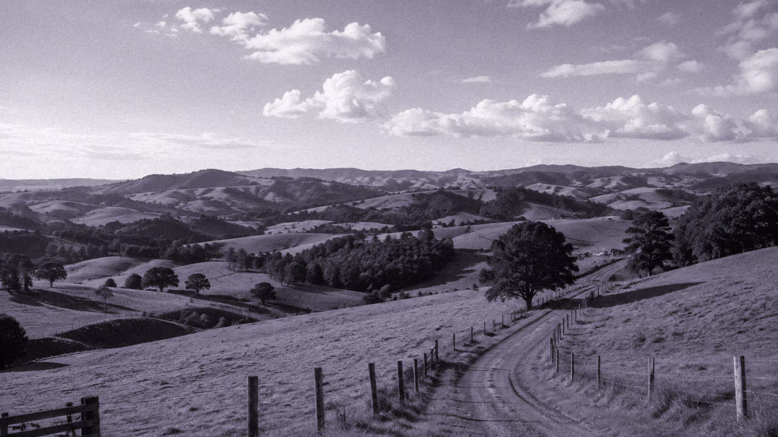 rural landscape